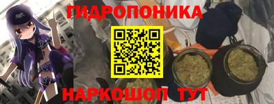 индика Краснокаменск