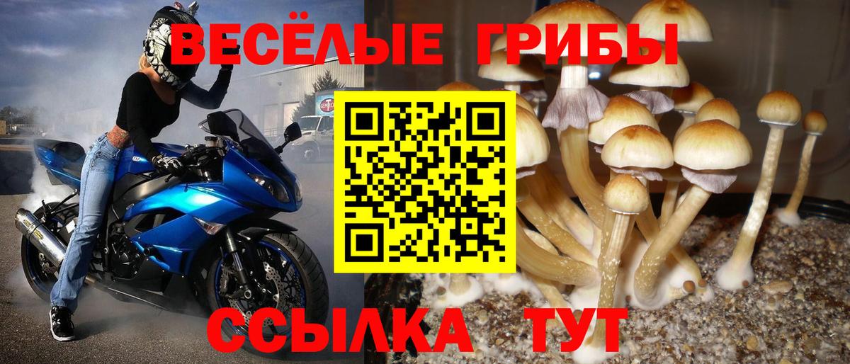 Галлюциногенные грибы мухоморы  Вход с VPN  Кизляр 